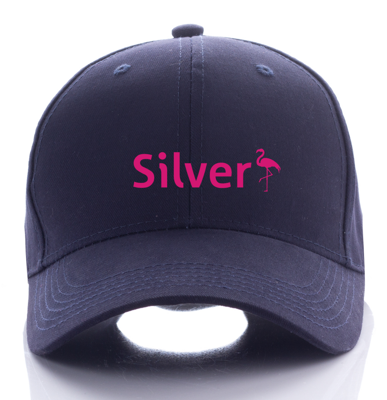 AIR SILVER AIRLINE CAP 01