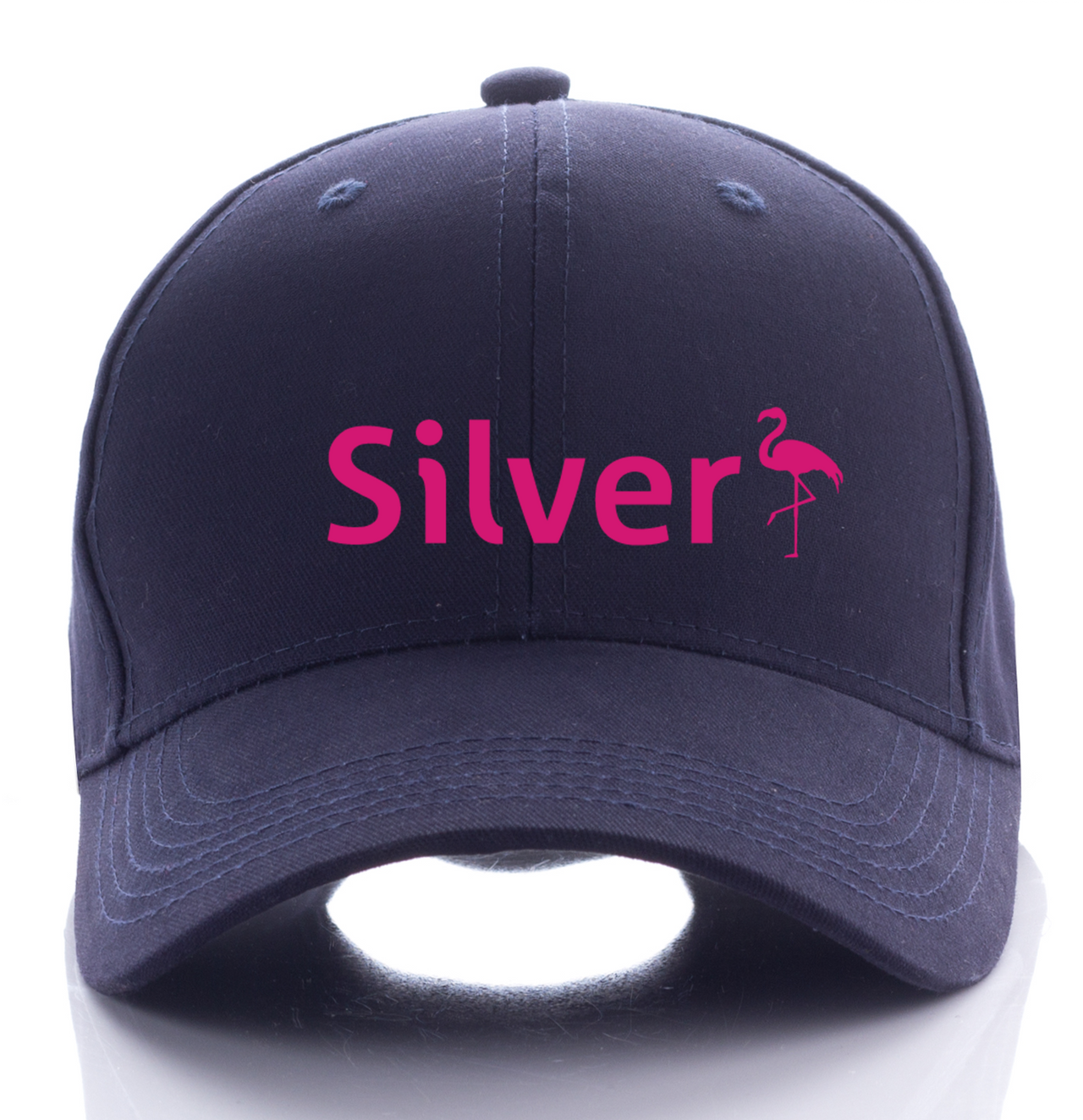 SILVER AIRLINE CAP